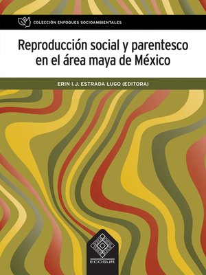 cover image of Reproducción social y parentesco en el área maya de México